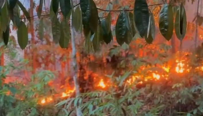 Tiga Titik Kebakaran Lahan Landa Kecamatan Kapuas Sanggau
