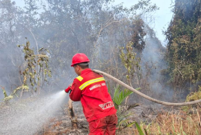Kebakaran Lahan 1,5 Hektare Hanguskan Kebun Warga Parindu
