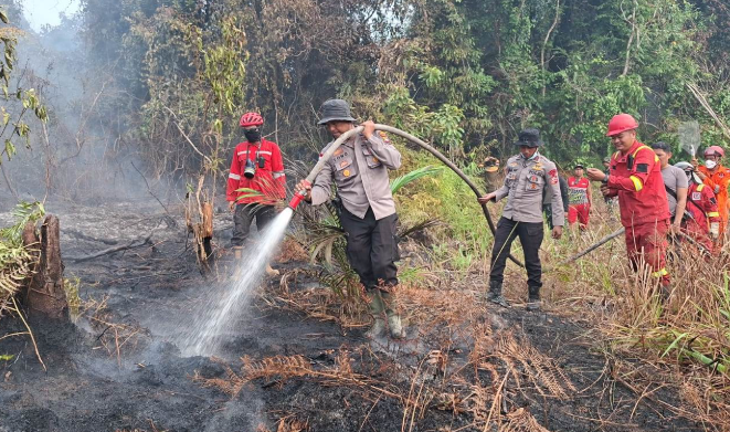 Tanpa Aktivitas Berladang, Lahan 1,5 Hektare di Parindu Terbakar
