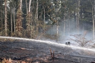 Belasan Titik Panas Karhutla Muncul di Kecamatan Toba Sanggau