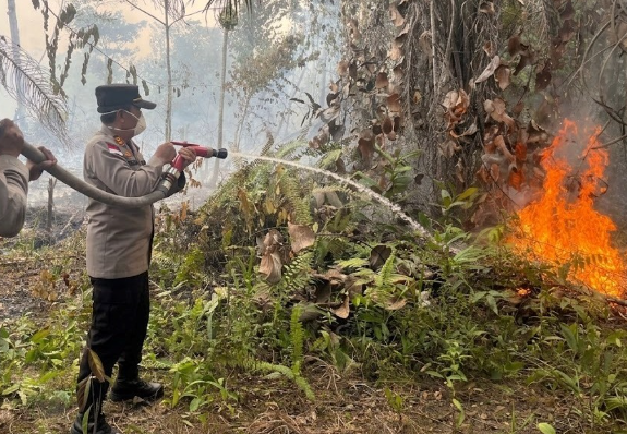 Kepolisian Selidiki Penyebab Kebakaran Tujuh Lahan di Sekayam