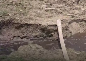 Viral!! Limbah PT MPL Diduga Sengaja Dibuang ke Aliran Sungai Gonis Sekadau