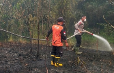 Karhutla Landa Penyeladi Sanggau, 0,2 Hektare Lahan Berhasil Dipadamkan