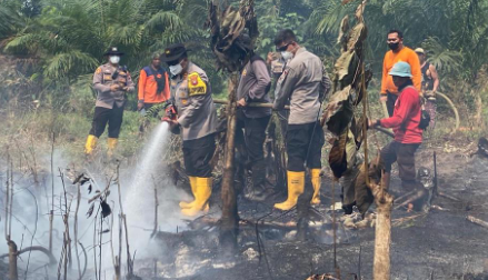 Dua Hektare Lahan Gambut Terbakar di Mempawah, Pemadaman Terkendala Sumber Air