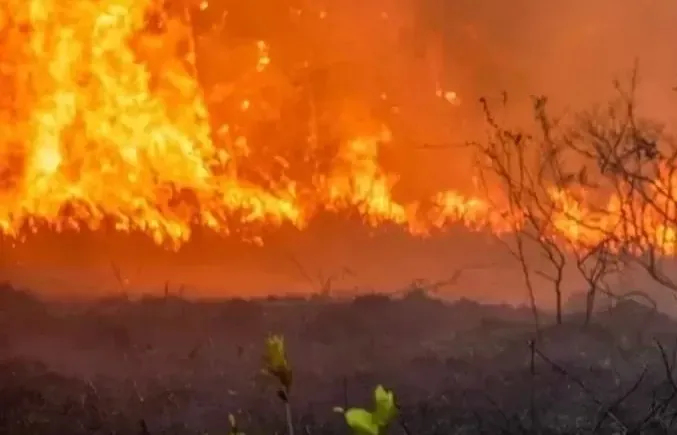 MADN Keluarkan Imbauan Hadapi Kekeringan dan Cegah Karhutla di Kalimantan
