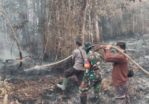Kobaran Api Lahan 0,6 Hektare di Desa Bajau Andai Menembus Kawasan Hutan