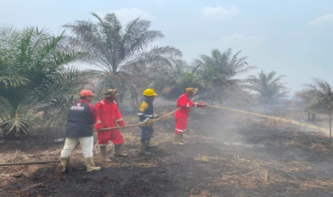 Atasi Kebakaran Lahan di Kayong Utara, Tim Gabungan KPH, TNI, Polri, dan Warga Bergerak Bersama