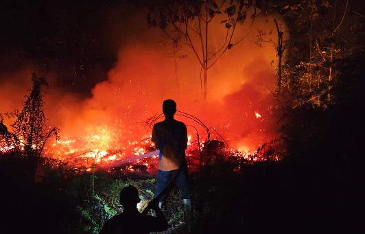 Kaltara Tetapkan Status Siaga Darurat, 55 Hektare Lahan Bulungan Terbakar