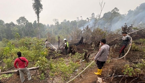 Kobaran Api Membakar Setengah Hektare Kebun Sawit Gambut di Toba Sanggau