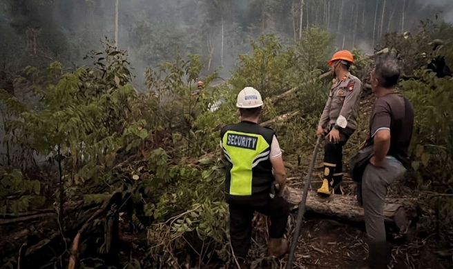 Sisa Api Lama Rambat ke Kebun Sawit Warga Toba Sanggau, Masyarakat Diimbau Waspada