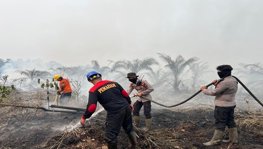 Api Lahan Warga Merambat, 1 Hektare Perkebunan Sawit PT Agro Andalan Terbakar