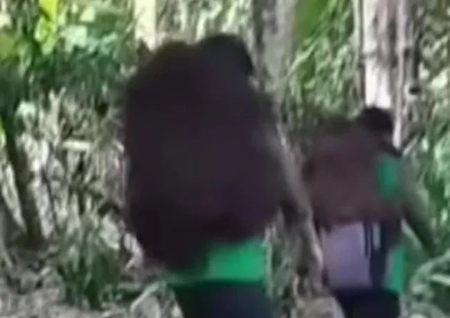 11 Orangutan Yatim Piatu Diselamatkan dari Karhutla
