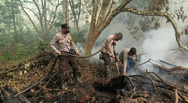 Api Hanguskan 36 Hektare Kebun dan Lahan Gambut di Sungai Rasau Singkawang