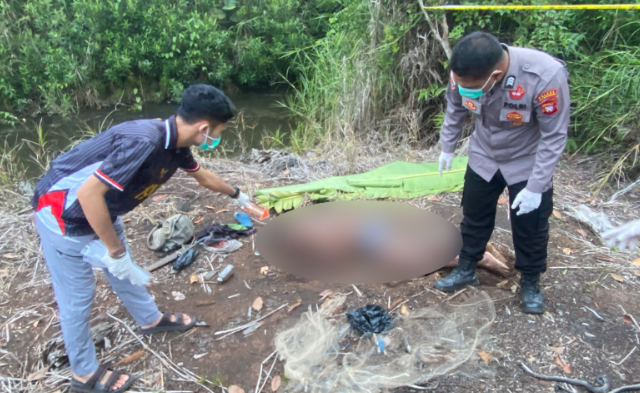 Warga Sanggau Ditemukan Tewas di Area Perkebunan Sawit, Diduga Akibat Digigit Ular