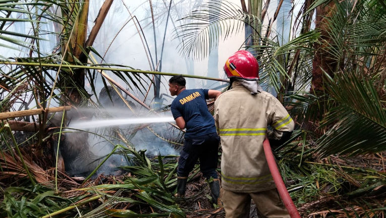 Puntung Rokok hingga Sampah Picu Kebakaran Lahan di Empat Provinsi, Korporasi?