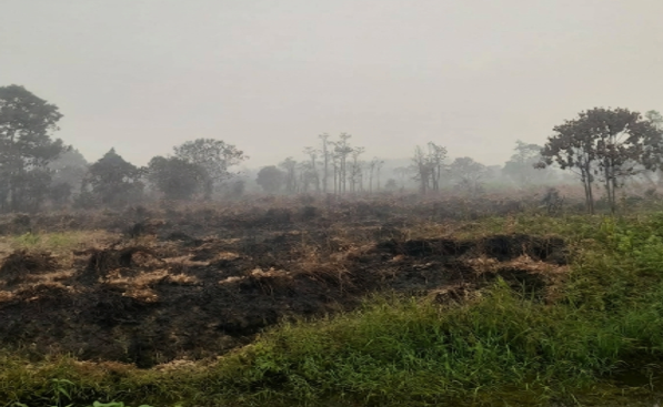 Karhutla di desa Sungai Malaya Kecamatan Sungai Ambawang Kabupaten Kubu raya Membara, Warga tak tinggal diam hadapi kobaran Api