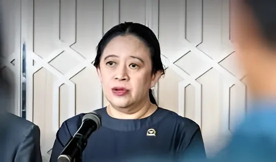 Puan Dorong Satu Komando Penanganan Bencana di Indonesia