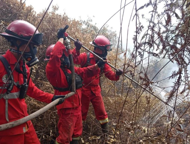 Kebakaran Lahan Gambut Di Sungai Rasau Singkawang Hanguskan 36 Hektare Lahan Warga