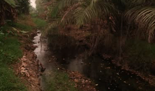 Cegah Karhutla Berulang Pemkot Singkawang Bangun Saluran Drainase Baru Di Singkawang Utara