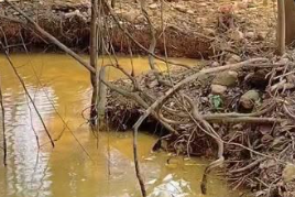 Aktivitas Tambang Emas Liar Meneror Hutan Sajingan Besar Warga Sambas Desak Penindakan Aparat Hukum