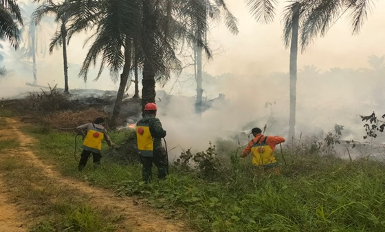 Kebakaran Lahan Warga Di Desa Selalong Sekadau Gabungan TNI Polri Dan Perusahaan Padamkan ApiKebakaran Lahan Warga Di Desa Selalong Sekadau Gabungan TNI Polri Dan Perusahaan Padamkan Api