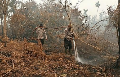 21 Hari Asap Gambut Belum Padam 36 Hektare Lahan Kebun Warga Di Sungai Rasau Masih Menyala