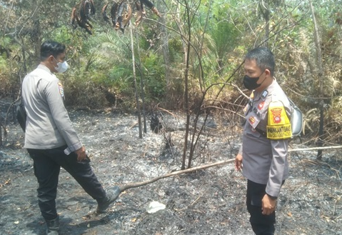 Deteksi Dua Hotspot di Belitang Hilir Sekadau, Polisi Temukan 1 Hektare Lahan Hangus