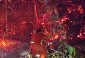 Satgas Karhutla Sanggau Soroti Karakter Api Gambut Tayan Hilir