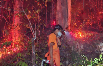 Amuk Karhutla di Tayan Hilir Sanggau Dekati Sekolah dan Pemukiman Warga