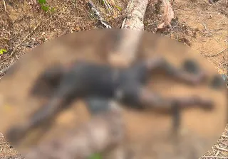 Pria 53 Tahun Ditemukan Membusuk di Ladang Sotok Sanggau, Keluarga Tolak Autopsi