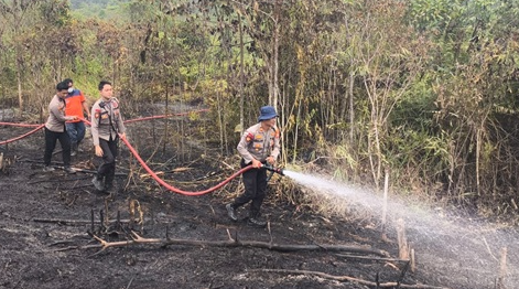 Dua Hari Berturut-turut Kebakaran, Lahan Satu Hektare di Entodan Sekadau Hilir Kembali Membara