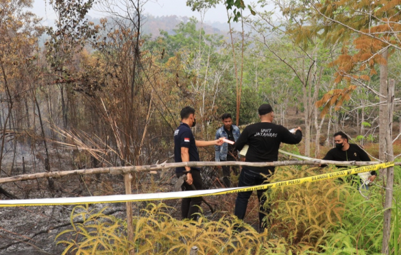 Usut Kebakaran 385 Hektar Perkebunan PT BOS Polres Kapuas Hulu Periksa Sembilan Saksi
