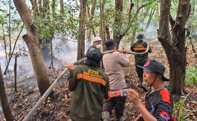 Kebakaran Lahan Terus Meluas di Tayan Hilir Sanggau Usai Api Muncul di Dusun Pedalaman