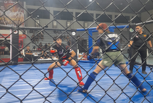 Kejurprov IBCA MMA Kalbar 2026 Diikuti 96 Petarung di GOR Pangsuma Sebagai Ajang Seleksi Porprov XIV