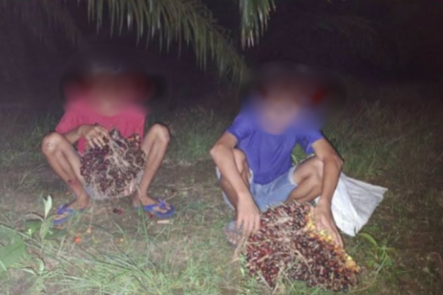 Sejumlah Remaja Diamankan Warga di Sambas Terkait Dugaan Pencurian Buah Sawit