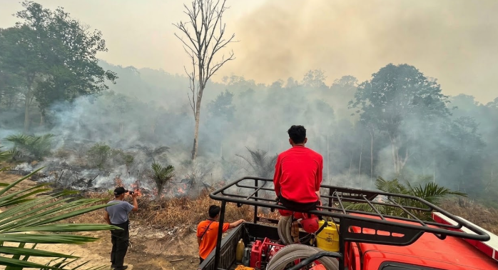 Anggaran Penanganan Karhutla Sanggau Terbatas, Dana Rp2 Miliar Dinilai Tidak Cukup