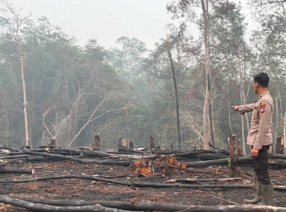 1,4 Hektare Lahan Terbakar di Toba Sanggau, Kebakaran Terjadi di Dua Lokasi