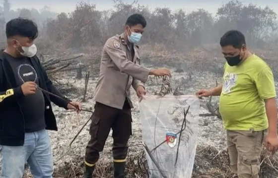 Polisi Olah TKP Terkait Video Pembakaran Sisa Lahan yang Melibatkan Anggota DPRD Mempawah