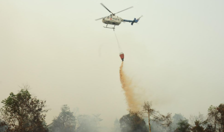 Dua Kabupaten Jadi Fokus Water Bombing Karhutla, Kalbar Kerahkan Pesawat dan OMC