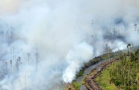 Di Tengah Karhutla Sekadau, Warga Diingatkan Tak Buka Lahan dengan Cara Dibakar