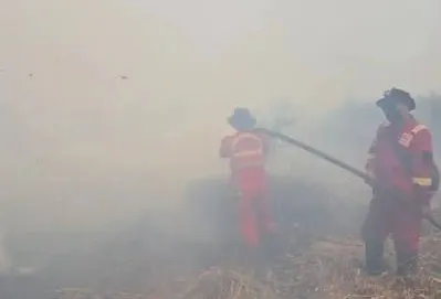 KLH: 10 Wilayah Kualitas Udara Berbahaya, Kalteng Mendominasi