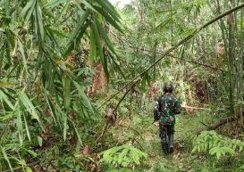 DPR Soroti 400 Jalur Tikus di Perbatasan Kalbar yang Jadi Akses PMI Nonprosedural