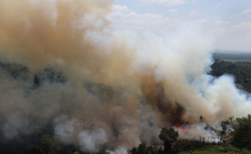 Lima Perusahaan di Kalbar Dikenai Pembekuan Izin Terkait Area Terbakar