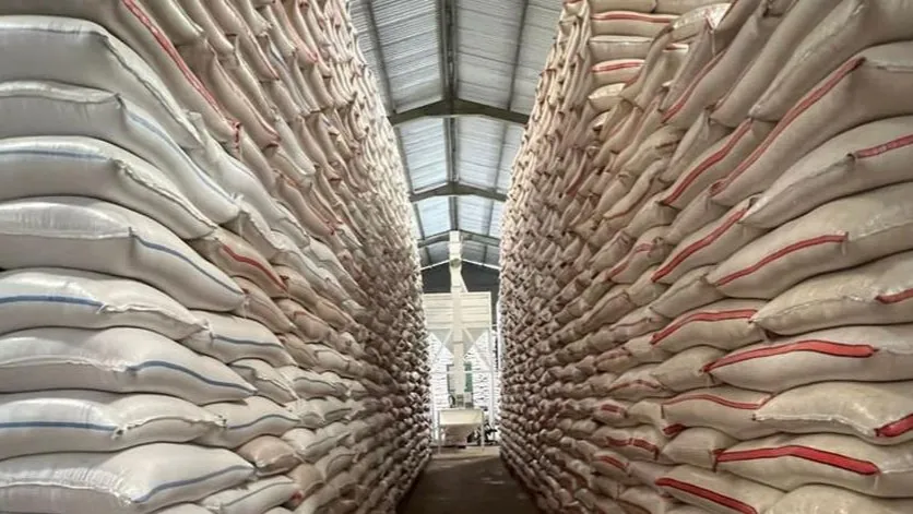 Stok Beras Nasional Tembus 4,8 Juta Ton, Gudang Bulog Tak Lagi Cukup