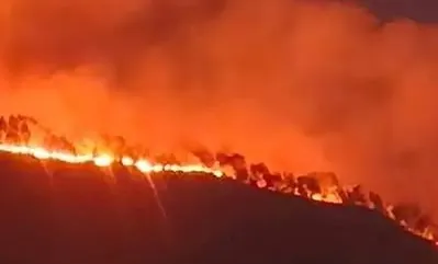 Kebakaran Bukit Setampol Rinjani Makin Meluas, 723,7 Hektare Lahan Terbakar