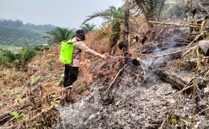 Titik Api Ditemukan di Kebun Sawit Meliau Sanggau, 0,2 Hektare Lahan Terbakar