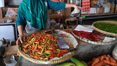 Harga Cabai dan Sayuran Naik di Sanggau, Cabai Keriting Tembus Rp150 Ribu per Kilogram