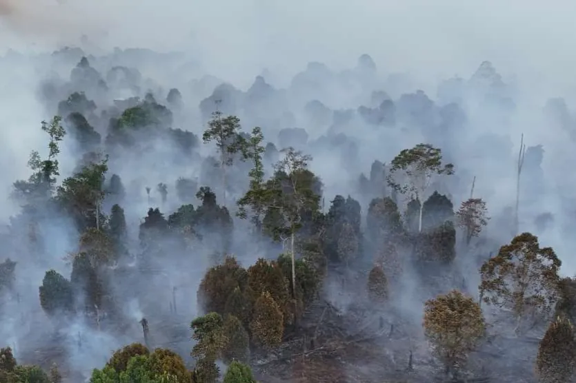Hotspot Nasional Naik Jadi 331 Titik, Kemenhut Siagakan 61 Armada Udara