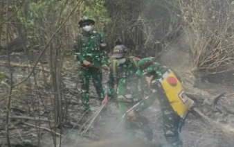 Titik Api di Danau Sentarum Jadi Perhatian, Warga Diingatkan Tak Bakar Lahan Sembarangan