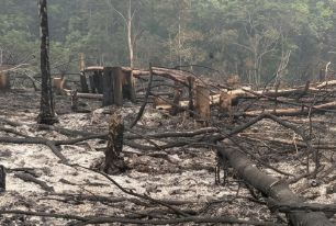 Karhutla Terpantau di Toba Sanggau, Lahan Sekitar Satu Hektare Sempat Terbakar